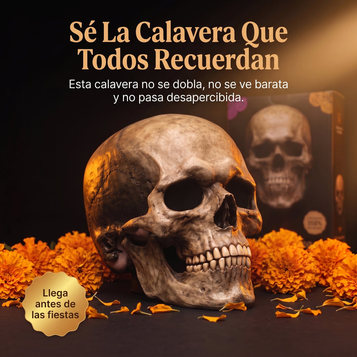 Máscara de Calavera/Casco De Cabeza Completa Con Mandíbula Móvil